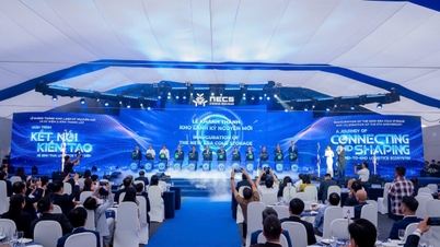 Компания NECS завершила создание логистической цепочки холодовой цепи в юго-восточном регионе Вьетнама.