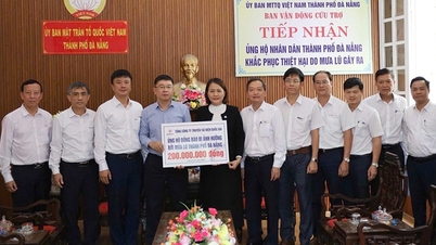 EVNNPT תומכת ב-6 מחוזות וערים במרכז וייטנאם וברמות המרכזיות בהתגברות על השלכות אסונות טבע.