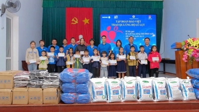 تُعد مجموعة باو فيت (BVH) من بين "أفضل 20 سهمًا ذات مؤشرات تنمية مستدامة متميزة".