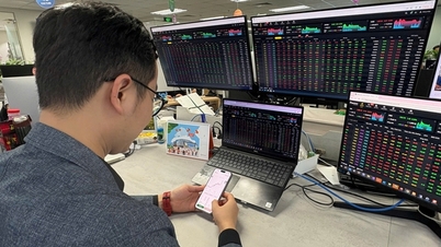 Akcie prudce klesly bez zjevného důvodu.