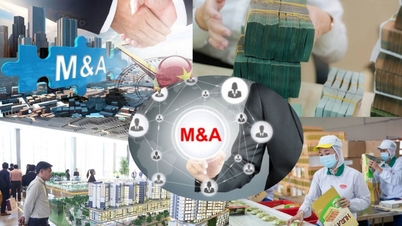 با رفع موانع قانونی، فعالیت ادغام و تملک ویتنام سرعت گرفت و در ماه نوامبر از ۷۰۰ میلیون دلار فراتر رفت.