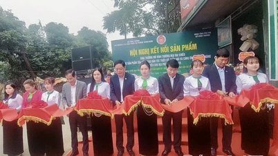 Het creëren van mogelijkheden voor de consumptie van producten uit de hooglanden.