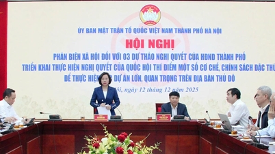 تجربة آليات وسياسات خاصة لتنفيذ مشاريع واسعة النطاق في العاصمة: لوائح تضمن الشفافية.