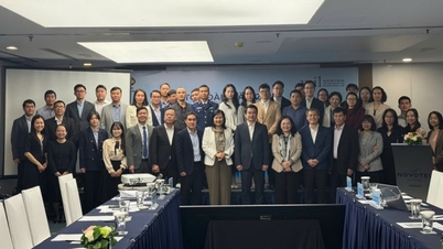 نئے شعبوں میں بین الاقوامی قانون کی تعمیر اور اطلاق میں ویتنام کے کردار کو بڑھانا۔