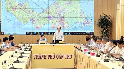 לתאם כדי להבטיח את התקדמות פרויקט קו ההולכה של 500 קילו-וולט LNG בין Bac Lieu ל-Thot Not.