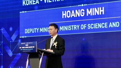 يوم التواصل بين الشركات الناشئة في فيتنام وكوريا 2025: تعزيز التعاون الثنائي في مجال الابتكار