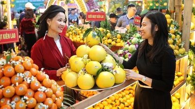 Festival de la Fruta de Bac Ninh 2025: Conectando la agricultura con los servicios y el turismo