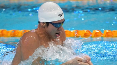 तैराक अन्ह विएन ने 33वें एसईए गेम्स में स्वर्ण पदक जीतने पर अपने छोटे भाई को बधाई देते हुए एक मार्मिक पत्र लिखा।