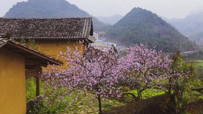 ຄວາມລັບທີ່ຢູ່ເບື້ອງຫຼັງ Lo Lo Chai ກາຍເປັນ 'ບ້ານທ່ອງທ່ຽວທີ່ດີທີ່ສຸດໃນໂລກ' ແມ່ນຫຍັງ?
