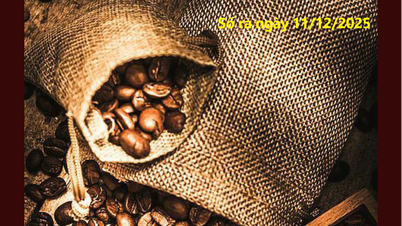 Boletín del Mercado Agrícola, Forestal y Pesquero, 11 de diciembre de 2025