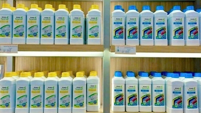 بک نین: تقویت هماهنگی در بازرسی، بررسی و نظارت بر فعالیت‌های بازاریابی چند سطحی.