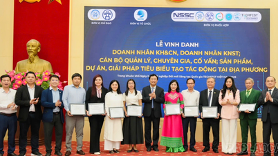 فازت شركات لاو كاي بجائزة "مزدوجة" في أسبوع Techfest Vietnam 2025.