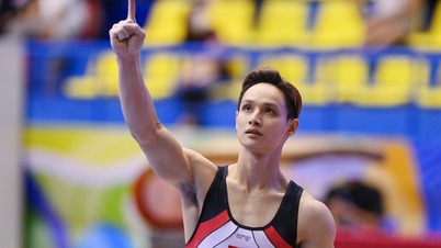 Kagumi rekod 14 pingat emas merentasi 6 Sukan SEA oleh "putera" gimnastik Dinh Phuong Thanh.
