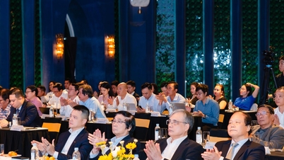 فو کوک و اپک ۲۰۲۷: کارشناسان یک سازوکار ویژه پیشنهاد می‌دهند.