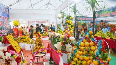 फू थो: काओ फोंग ऑरेंज फेस्टिवल में 120 स्टॉल प्रदर्शित किए गए