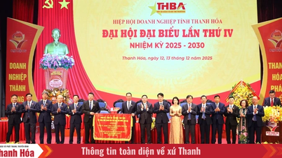 La Asociación Empresarial Provincial de Thanh Hoa, junto con el gobierno, está trabajando para eliminar cuellos de botella y liberar recursos para el desarrollo.