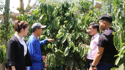 Політичне кредитування стимулює розвиток нових сільських районів у Лам Донгу.