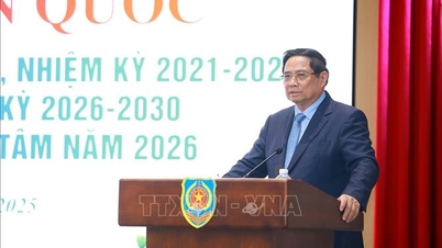 Att gå från "lagstyrning" till att "bygga institutioner för utveckling"