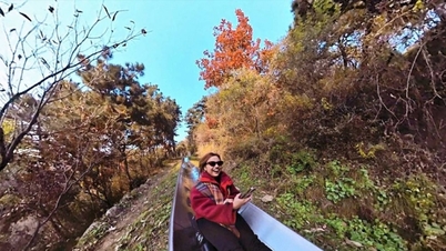 החומה הגדולה מוטיאניו: תיהנו מנופים ציוריים של עלווה סתווית תוך כדי גלישה במורד המזחלת.