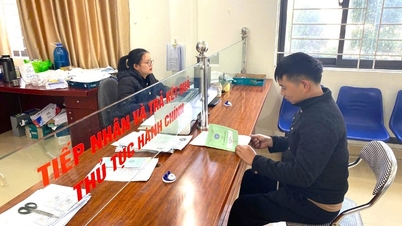 Innovar los métodos de trabajo y mejorar la calidad del servicio a las personas.