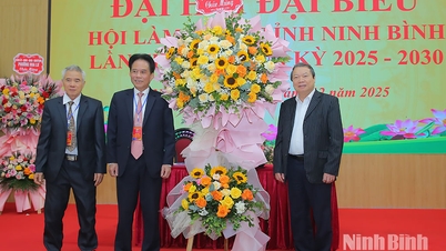 닌빈성 원예협회 제1차 대의원 총회, 임기 2025-2030