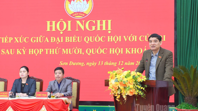 Đoàn đại biểu Quốc hội tỉnh tiếp xúc cử tri xã Sơn Dương sau Kỳ họp thứ 10, Quốc hội khóa XV