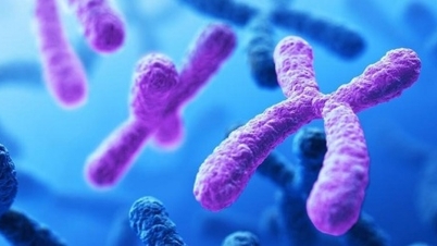 Kısırlık taraması, kromozomal anormalliklerin tespiti.