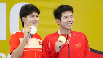 Swimming, the blue track, is always worth watching.