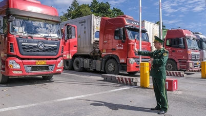 תוכנית פיילוט להובלת מטענים דו-כיוונית בין וייטנאם לסין תחל למשך שנה.