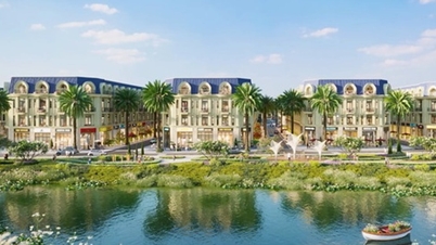 ភាពជាដៃគូចែកចាយជាយុទ្ធសាស្ត្រសម្រាប់ផ្នែករង Apollo By The Solia។