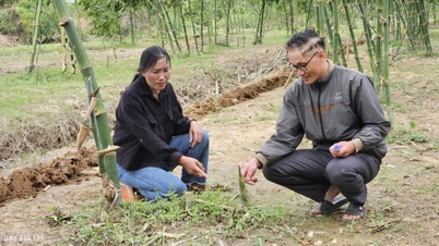 Комуна Данг Кан активізує зусилля щодо зменшення інформаційної бідності та цифрової нерівності.