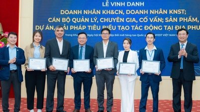 استان داک لک دارای 6 کارآفرین است که در زمینه‌های علم و فناوری و استارتاپ‌های نوآورانه مورد تقدیر قرار گرفته‌اند.