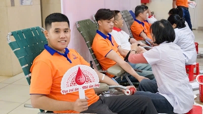 داک لک از یازدهمین هفته اهدای خون EVN، 324 واحد خون دریافت کرد.