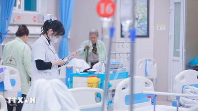 Narodowy Program Celów Zdrowotnych: Priorytetowe traktowanie grup najbardziej narażonych