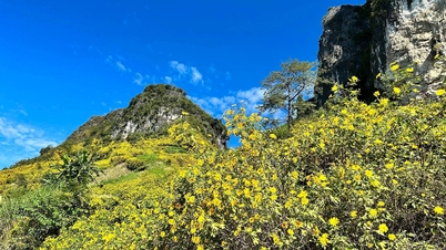 Vizitând Cao Bang în acest sezon, turiștii exclamă: „Fiecare unghi oferă o oportunitate frumoasă pentru fotografii!”