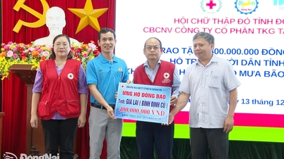 Dong Nai gir støtte til folk i Van Canh kommune i Gia Lai-provinsen etter tyfon nr. 15.