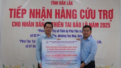 De organiserte frivillighetsprogrammer og donerte tusenvis av gaver til folket.