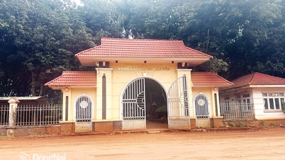 Conservation for sustainable development