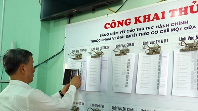 Resolving administrative procedures for citizens and businesses: Apology letters will be sent for delays.