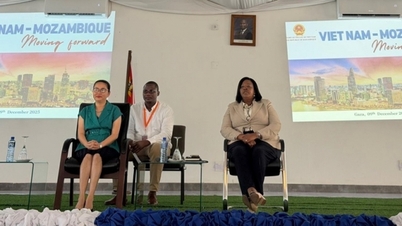 The Vietnamese Ambassador to Mozambique visits Gaza province and presides over a trade promotion workshop.