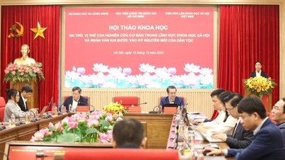 Роль фундаментальных исследований в социальных и гуманитарных науках в цифровую эпоху.