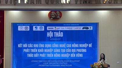 ການເຊື່ອມຕໍ່ເຕັກໂນໂລຢີສູງ - ການສົ່ງເສີມການເງິນສີຂຽວສໍາລັບການກະສິກໍາ.