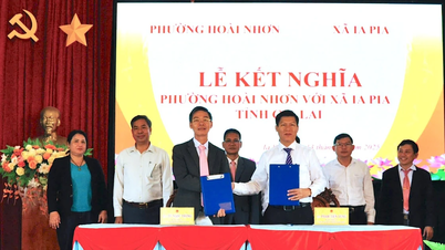 Wad Hoai Nhon telah menjalinkan hubungan wad saudara dengan komune Ia Pia.