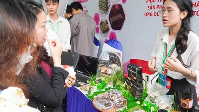 Было представлено множество уникальных и необычных блюд из сверчков, таких как колбасы, тушеная свинина с рыбным соусом и пирожные.