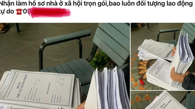 Perdana Menteri mengeluarkan arahan mendesak untuk mengatasi penyimpangan dalam persetujuan dan pembelian perumahan sosial.