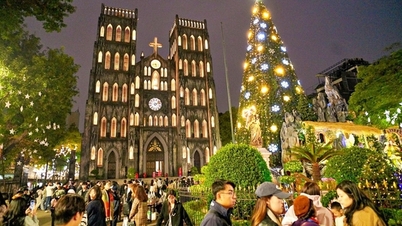 연말 휴가철에 베트남 전역의 다양한 여행지로 떠나보세요.