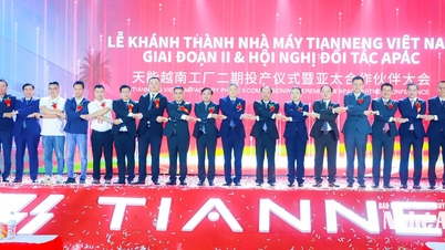 세계적인 에너지 기업이 응에안성에 고성능 배터리 제조 공장을 개설했습니다.