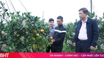 Pembiayaan dasar menyediakan sokongan untuk meningkatkan kepakaran tempatan.