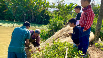 Грязь осталась со времен осушения пруда.
