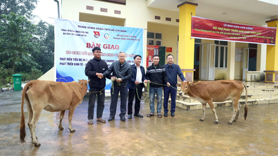 Mempersembahkan model penternakan lembu hibrid kepada golongan muda daripada komuniti etnik minoriti.